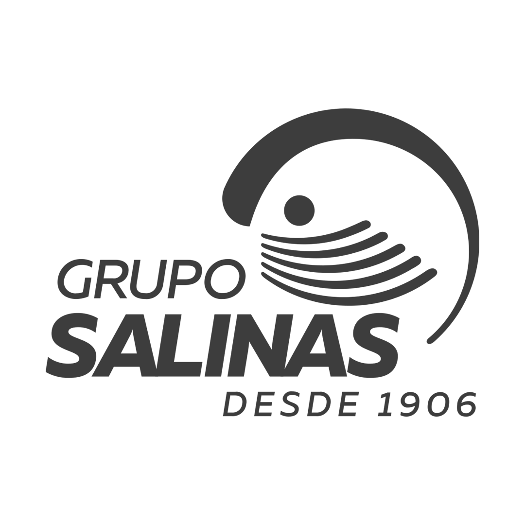 Logo Grupo Salinas